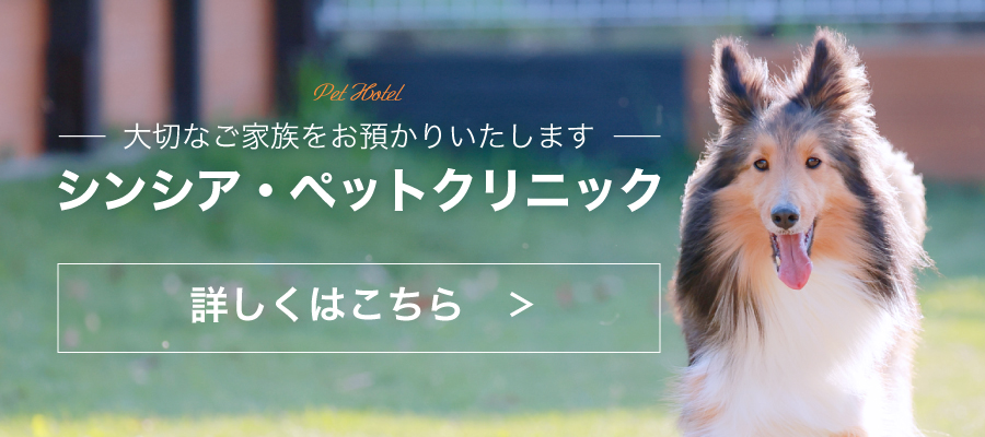 シンシア・ペットクリニック 詳しくはこちら